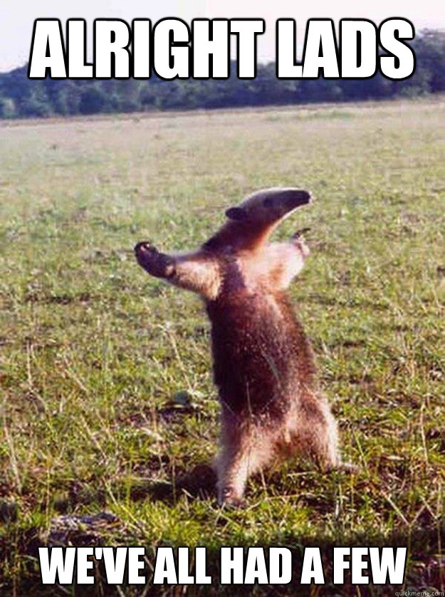 Alright Lads we've all had a few  Anteater LAD