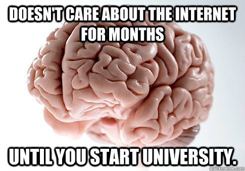 Doesn't care about the internet for months Until you start university.  Scumbag Brain