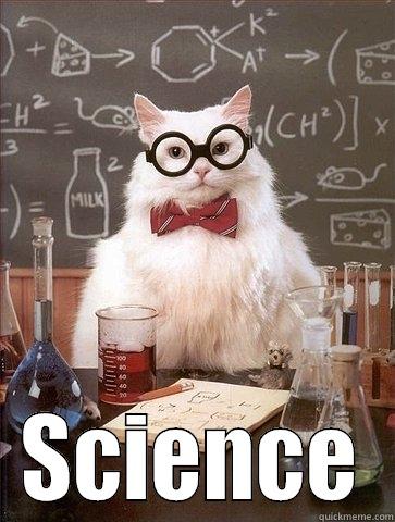 Evolution Cat -  SCIENCE Chemistry Cat