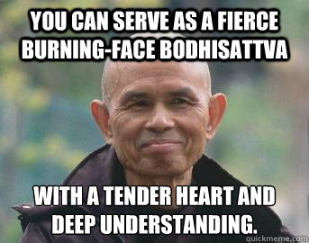 You can serve as a fierce burning-face bodhisattva with a tender heart and deep understanding.
 - You can serve as a fierce burning-face bodhisattva with a tender heart and deep understanding.
  Tich Nhat Hanh