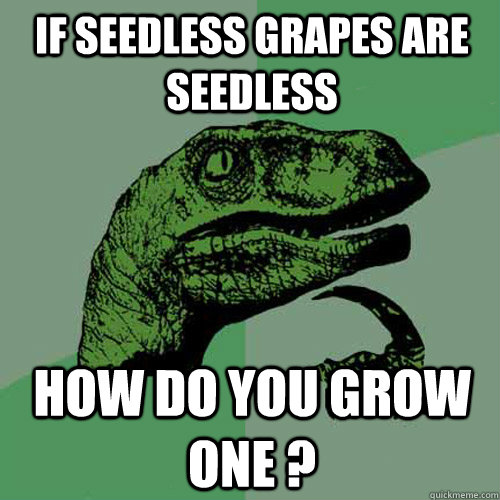 IF SEEDLESS GRAPES ARE SEEDLESS HOW DO YOU GROW ONE ? - IF SEEDLESS GRAPES ARE SEEDLESS HOW DO YOU GROW ONE ?  Philosoraptor