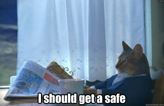  I should get a safe  Sophisticated Cat