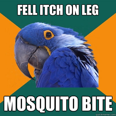 Fell itch on leg mosquito bite  Paranoid Parrot