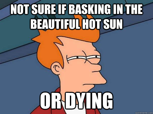 Not sure if basking in the beautiful hot sun Or dying - Not sure if basking in the beautiful hot sun Or dying  Futurama Fry