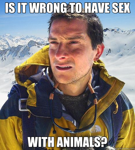 IS IT WRONG TO HAVE SEX WITH ANIMALS?  Bear Grylls