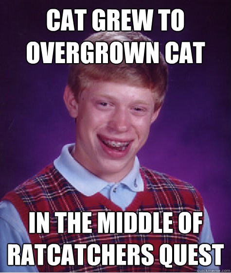 Cat grew to overgrown cat In the middle of ratcatchers quest - Cat grew to overgrown cat In the middle of ratcatchers quest  Bad Luck Brian