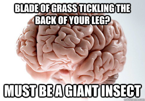 Blade of Grass tickling the back of your leg? Must be a giant insect - Blade of Grass tickling the back of your leg? Must be a giant insect  Scumbag Brain