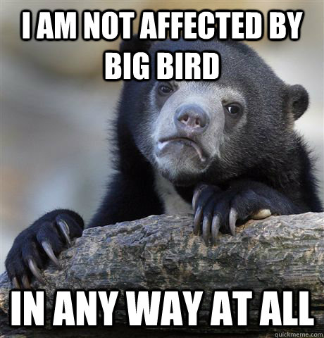 I am not affected by big bird  in any way at all  Confession Bear