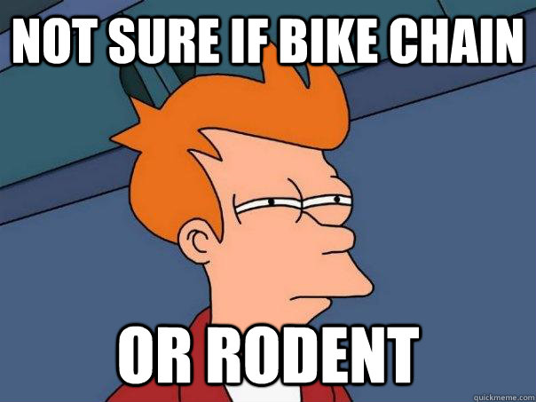 Not sure if bike chain or rodent  Futurama Fry