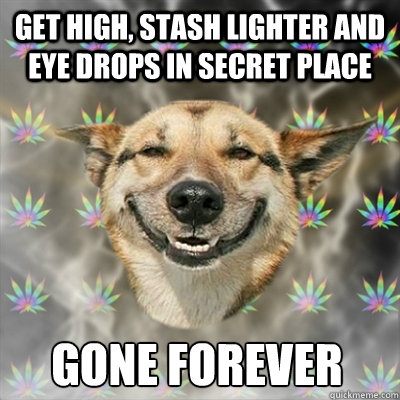 Get high, stash lighter and eye drops in secret place gone forever  Stoner Dog