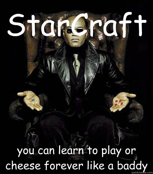 StarCraft you can learn to play or cheese forever like a baddy  Morpheus