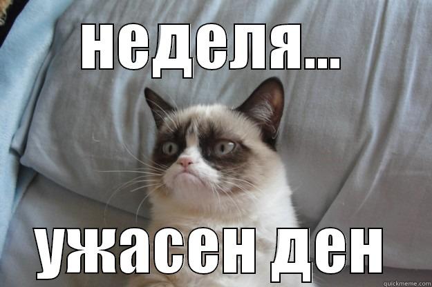 НЕДЕЛЯ... УЖАСЕН ДЕН Grumpy Cat