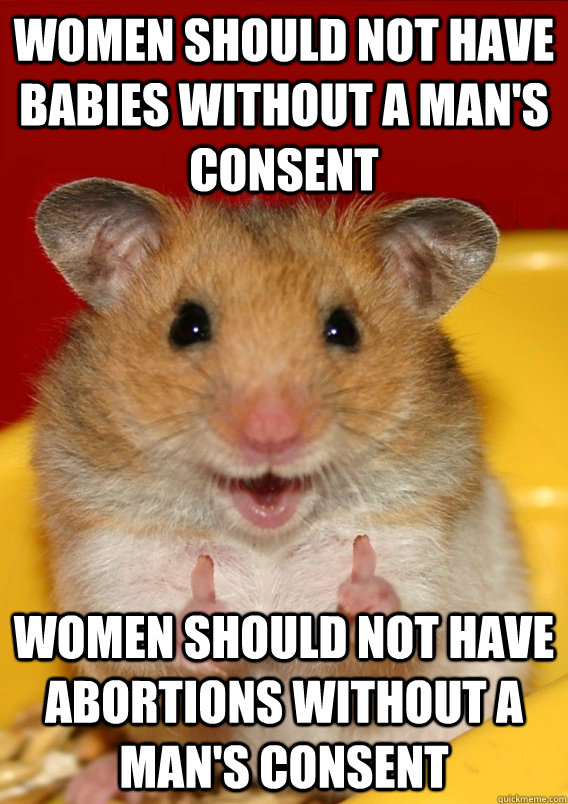 women should not have babies without a man's consent women should not have abortions without a man's consent    Rationalization Hamster