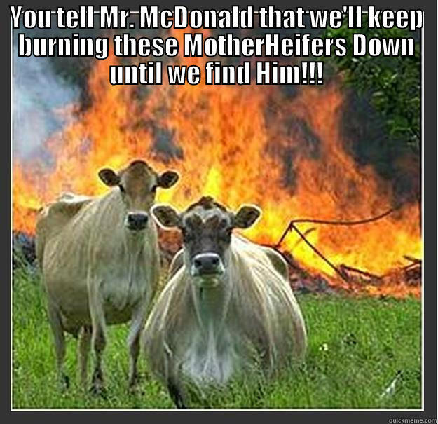 Revenge...  - YOU TELL MR. MCDONALD THAT WE'LL KEEP BURNING THESE MOTHERHEIFERS DOWN UNTIL WE FIND HIM!!!  Evil cows