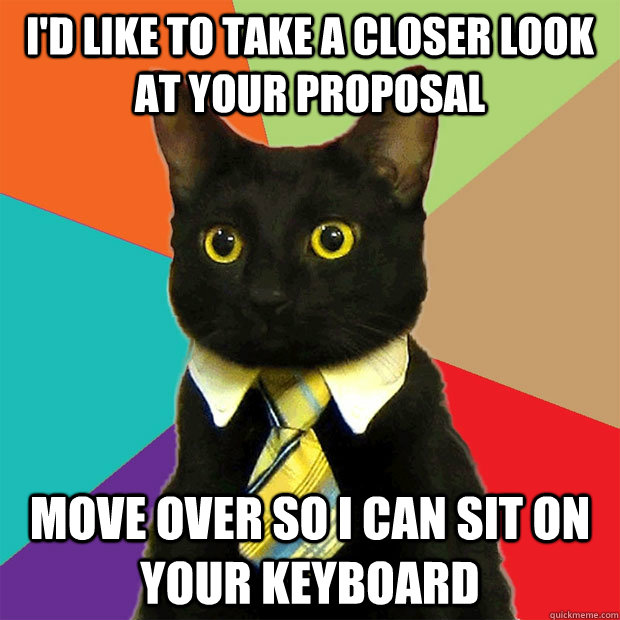 I'd like to take a closer look at your proposal Move over so I can sit on your keyboard  Business Cat