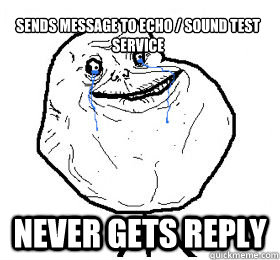 
sends message to echo / sound test service never gets reply  Always forever alone