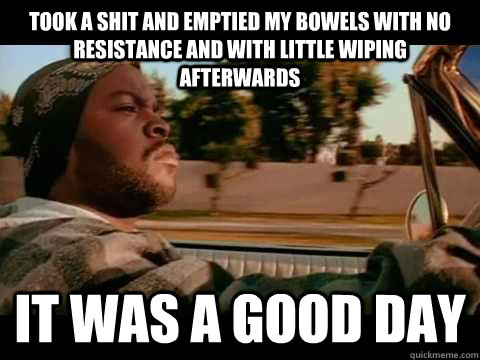 Took a shit and emptied my bowels with no resistance and with little wiping afterwards it was a good day  Ice Cube