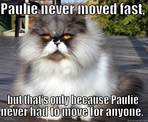 PAULIE NEVER MOVED FAST,  BUT THAT'S ONLY BECAUSE PAULIE NEVER HAD TO MOVE FOR ANYONE.  Misc
