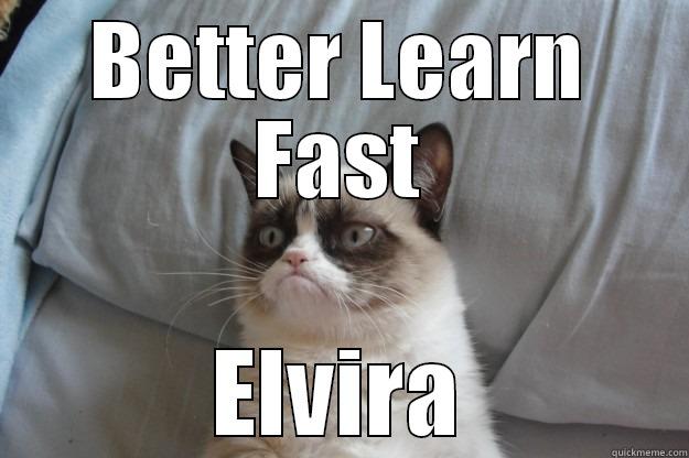 No Fun 3 - BETTER LEARN FAST ELVIRA Grumpy Cat