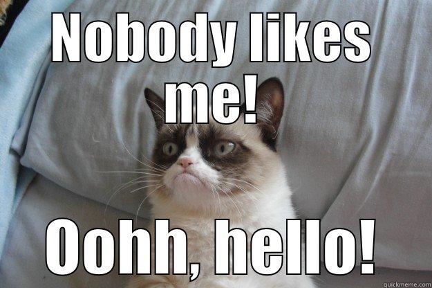 NOBODY LIKES ME! OOHH, HELLO! Grumpy Cat