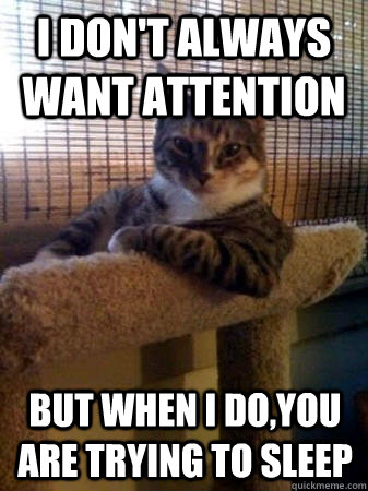 I don't always want attention but when i do,you are trying to sleep - I don't always want attention but when i do,you are trying to sleep  The Most Interesting Cat in the World