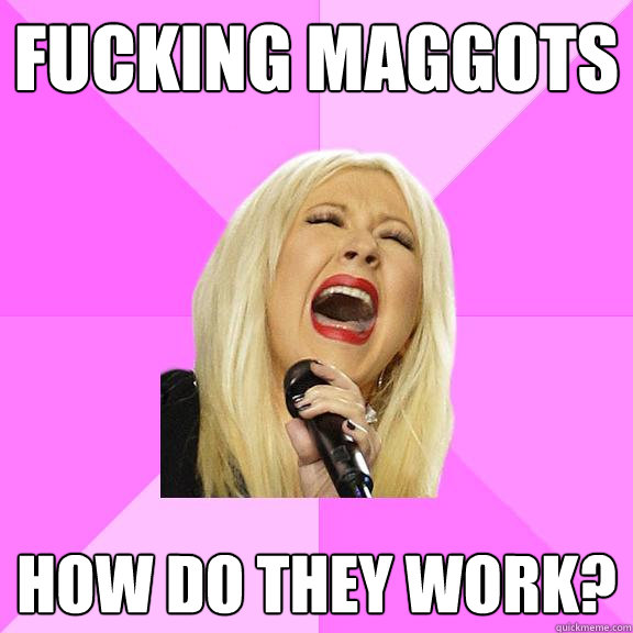 Fucking maggots how do they work?  Wrong Lyrics Christina