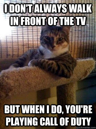 i don't always walk in front of the tv but when I do, you're playing call of duty  The Most Interesting Cat in the World