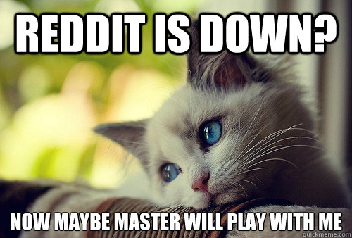 reddit is down? now maybe master will play with me  First World Problems Cat