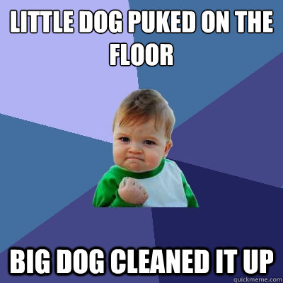 LITTLE DOG PUKED ON THE FLOOR BIG DOG CLEANED IT UP - LITTLE DOG PUKED ON THE FLOOR BIG DOG CLEANED IT UP  Success Kid