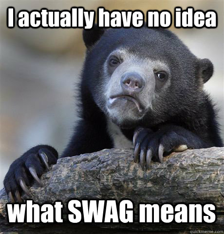 I actually have no idea what SWAG means - I actually have no idea what SWAG means  Confession Bear