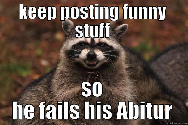 Evil pla - KEEP POSTING FUNNY STUFF SO HE FAILS HIS ABITUR Evil Plotting Raccoon