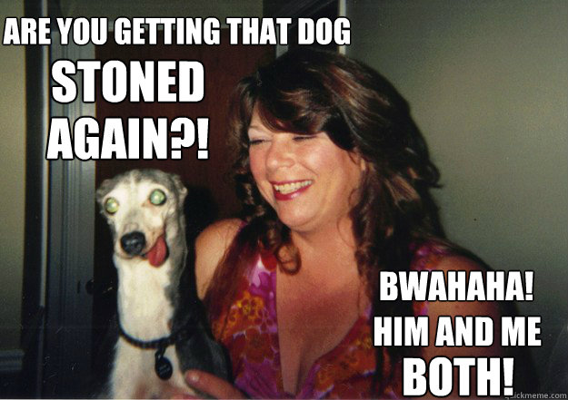 Are you getting that dog                                           stoned  again?! BwaHaha! Him and me both!  