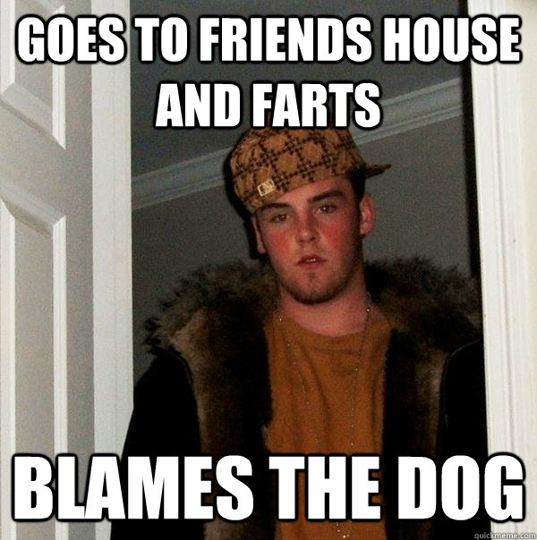 GOES TO FRIENDS HOUSE AND FARTS BLAMES THE DOG  Scumbag Steve