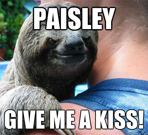 Paisley Give me a kiss!
  Suspiciously Evil Sloth