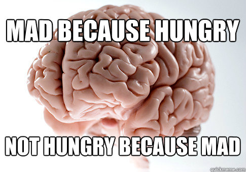 MAD BECAUSE HUNGRY NOT HUNGRY BECAUSE MAD  - MAD BECAUSE HUNGRY NOT HUNGRY BECAUSE MAD   Scumbag Brain