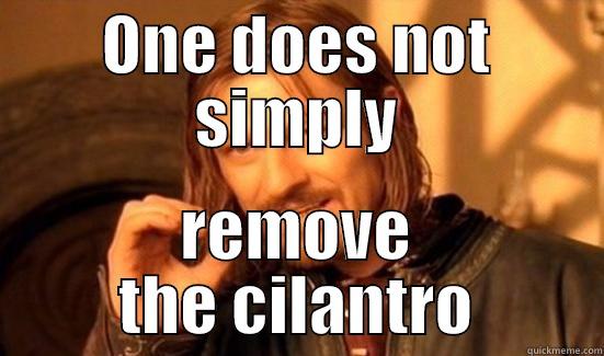 ONE DOES NOT SIMPLY REMOVE THE CILANTRO Boromir