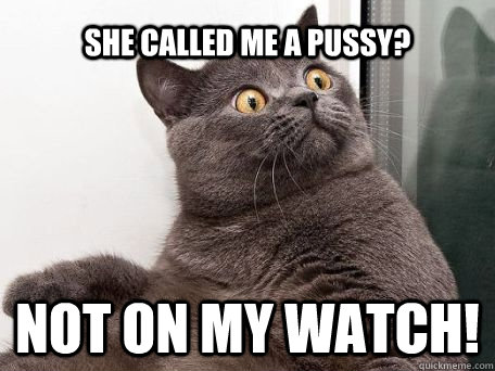 SHE CALLED ME A PUSSY? NOT ON MY WATCH!  conspiracy cat