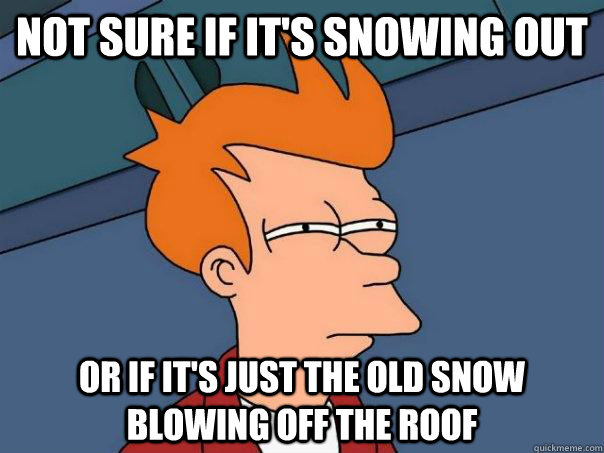 Not sure if it's snowing out Or if it's just the old snow blowing off the roof  Futurama Fry