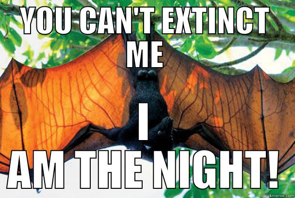 YOU CAN'T EXTINCT ME I AM THE NIGHT! Misc