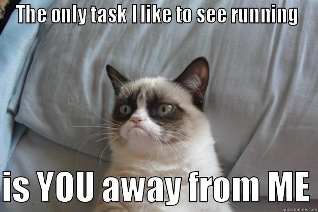 THE ONLY TASK I LIKE TO SEE RUNNING  IS YOU AWAY FROM ME Grumpy Cat