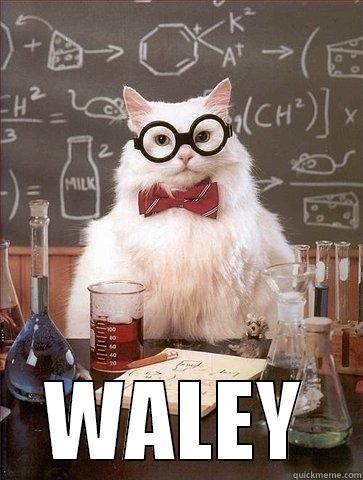  WALEY Chemistry Cat