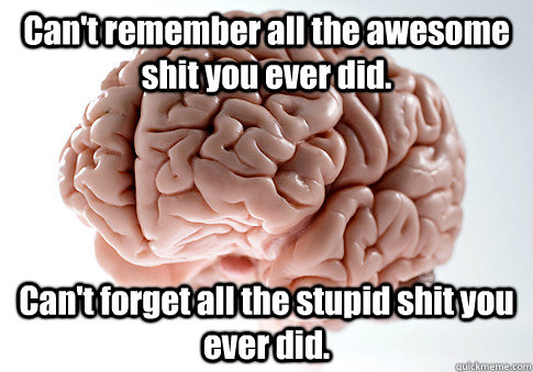 Can't remember all the awesome shit you ever did.  Can't forget all the stupid shit you ever did.   Scumbag Brain