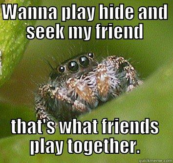 WANNA PLAY HIDE AND SEEK MY FRIEND THAT'S WHAT FRIENDS PLAY TOGETHER. Misunderstood Spider