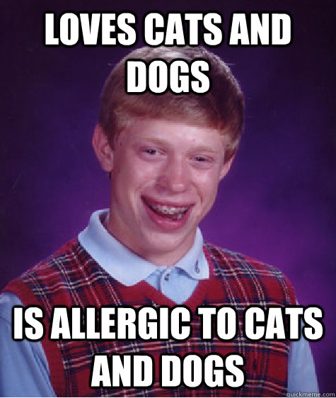 Loves cats and dogs is allergic to cats and dogs - Loves cats and dogs is allergic to cats and dogs  Bad Luck Brian