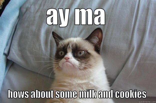 AY MA HOWS ABOUT SOME MILK AND COOKIES Grumpy Cat