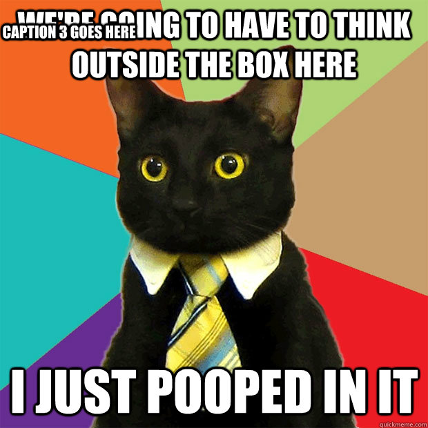 We're going to have to think outside the box here I just pooped in it Caption 3 goes here - We're going to have to think outside the box here I just pooped in it Caption 3 goes here  Business Cat