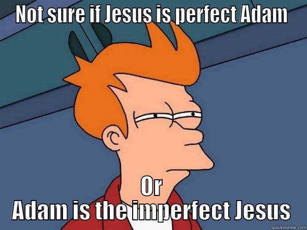 A question for the theologians  - NOT SURE IF JESUS IS PERFECT ADAM OR ADAM IS THE IMPERFECT JESUS Futurama Fry