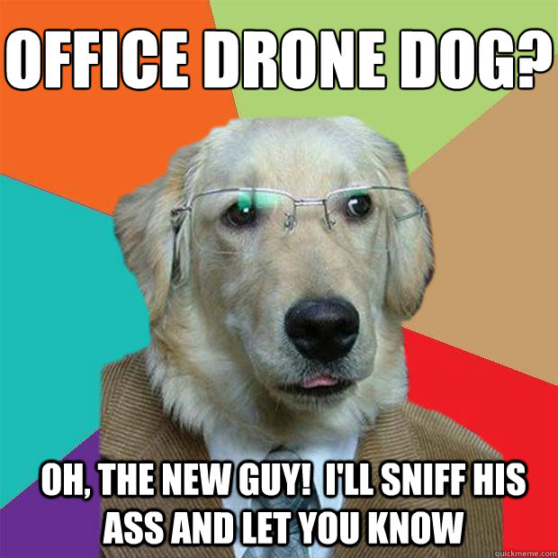 Office Drone Dog?
 Oh, the new guy!  I'll sniff his ass and let you know  Business Dog