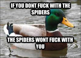 If you dont fuck with the spiders The spiders wont fuck with you - If you dont fuck with the spiders The spiders wont fuck with you  Good Advice Duck