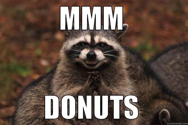 MMM DONUTS Evil Plotting Raccoon